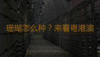 珊瑚怎么种？来看粤港澳摄影师的深海记录｜全国珊瑚日